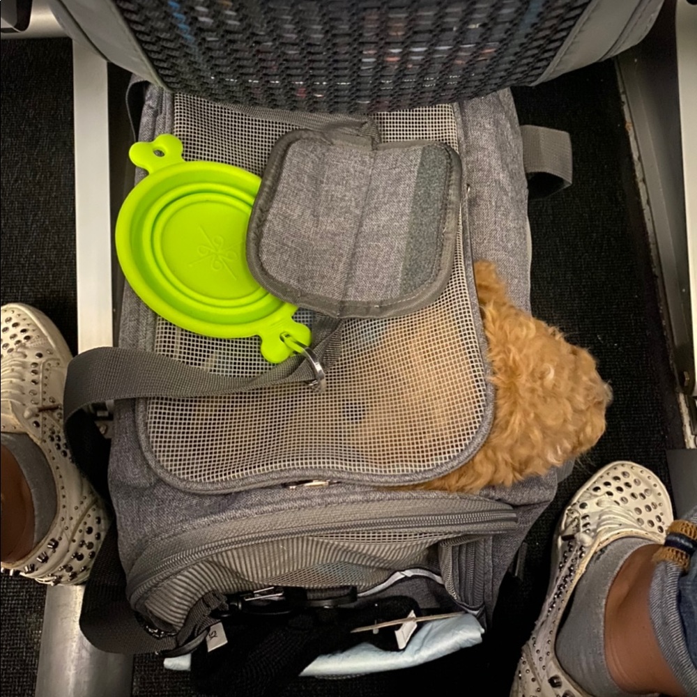 airline approved medium per carrier